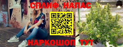 Альфа ПВП Обнинск
