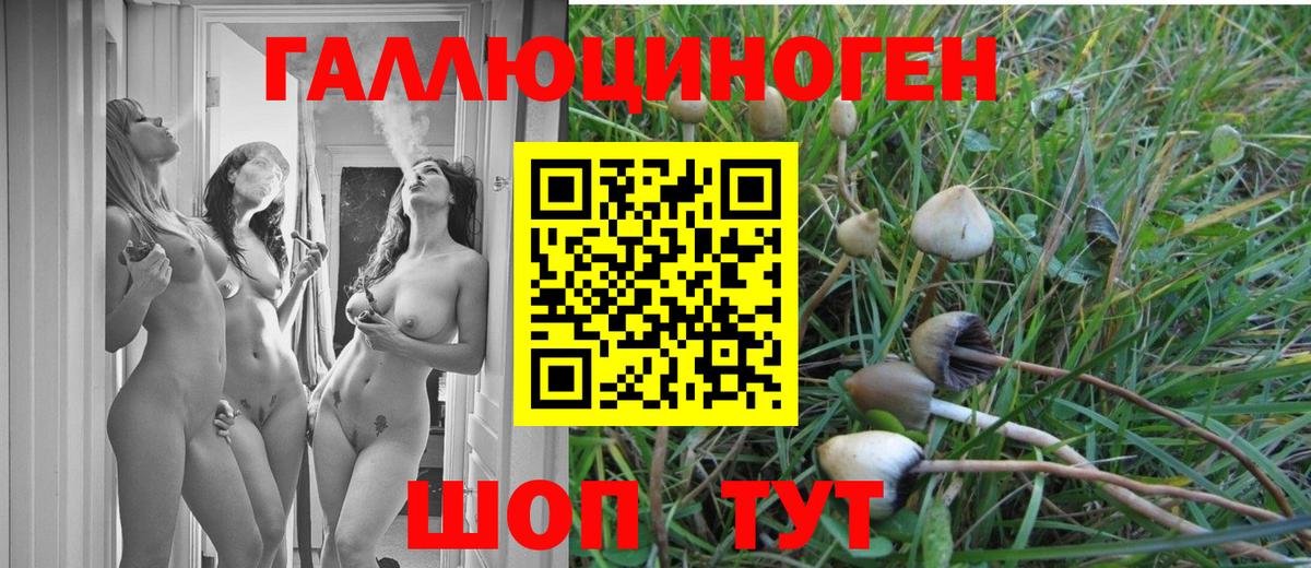 Галлюциногенные грибы ЛСД  Вход с VPN  где купить наркоту  Галлюциногенные грибы прущие грибы  Рассказово 